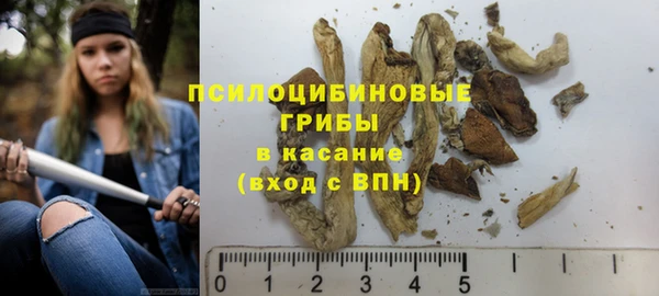 гашик Карталы