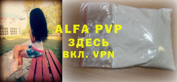 хмурый Каменногорск