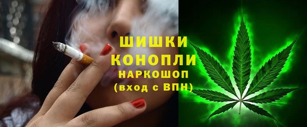 спайс Каменка