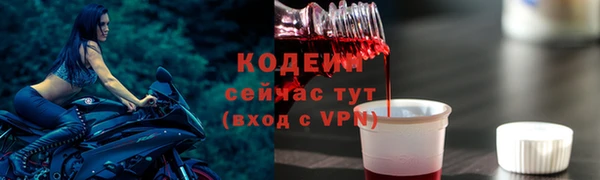 хмурый Каменногорск
