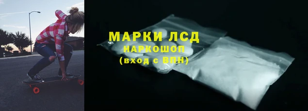 спайс Каменка