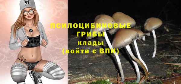 спайс Каменка
