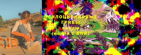 хмурый Каменногорск