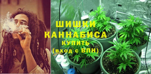 хмурый Каменногорск