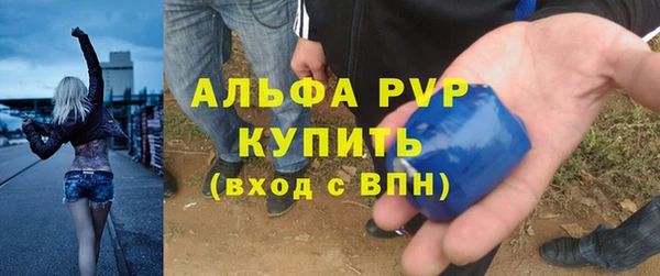 спайс Каменка