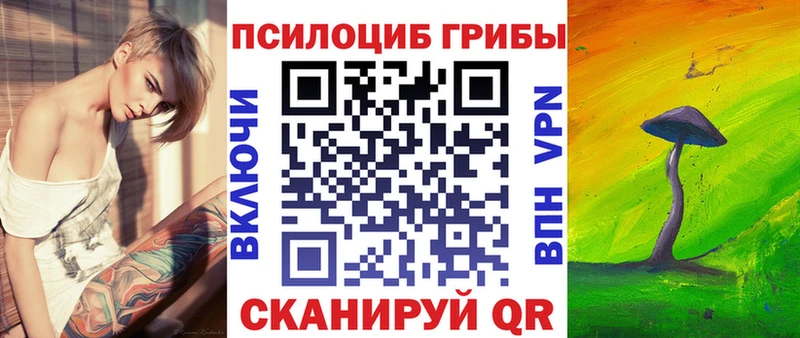 Купить закладки  Белёв  Галлюциногенные грибы Psilocybine cubensis 